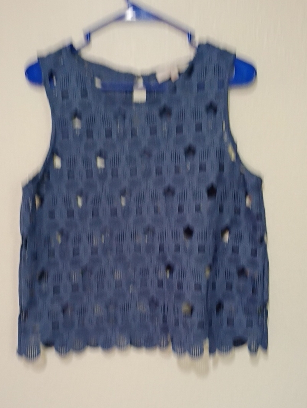 LOFT Blue Crochet Tank Top